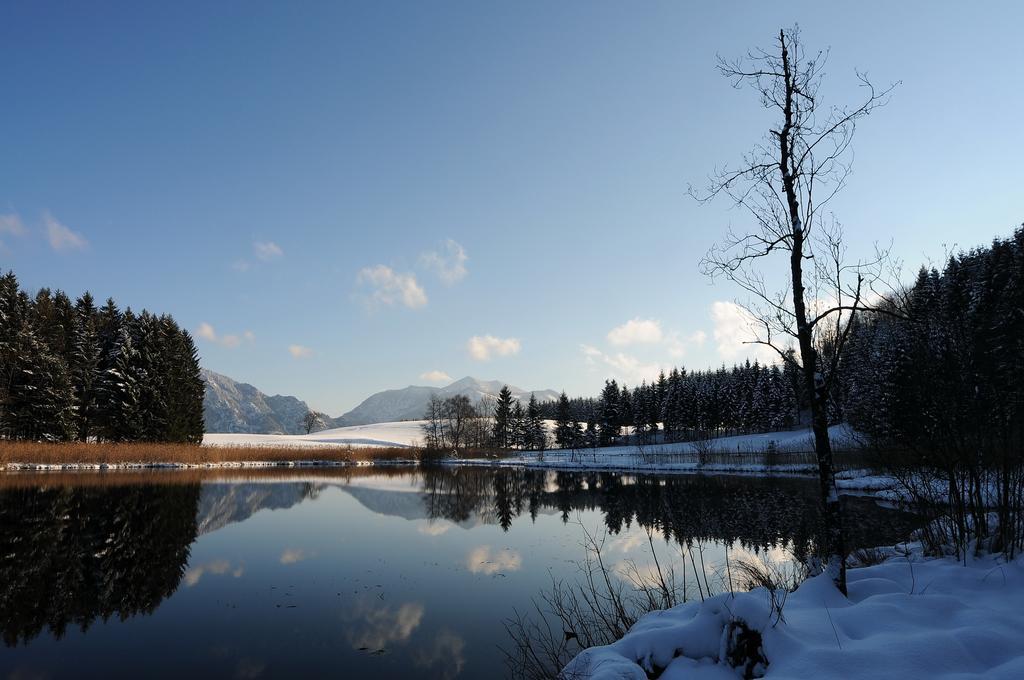 Ferienhof Margarethengut Unterach am Attersee Ngoại thất bức ảnh