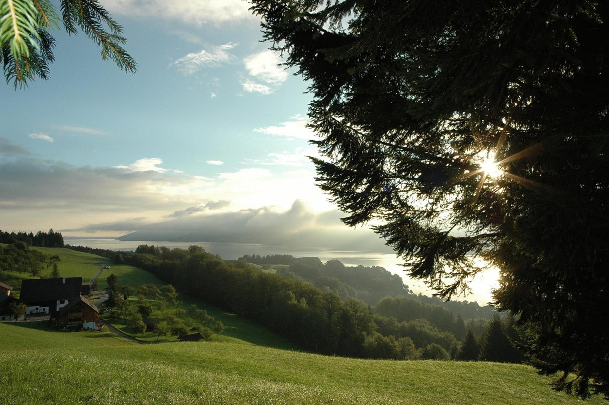Ferienhof Margarethengut Unterach am Attersee Ngoại thất bức ảnh