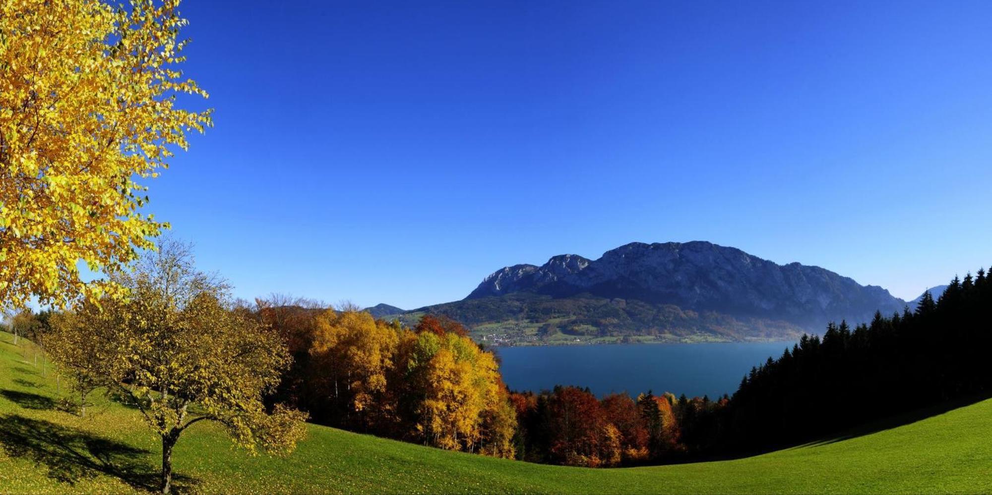 Ferienhof Margarethengut Unterach am Attersee Ngoại thất bức ảnh