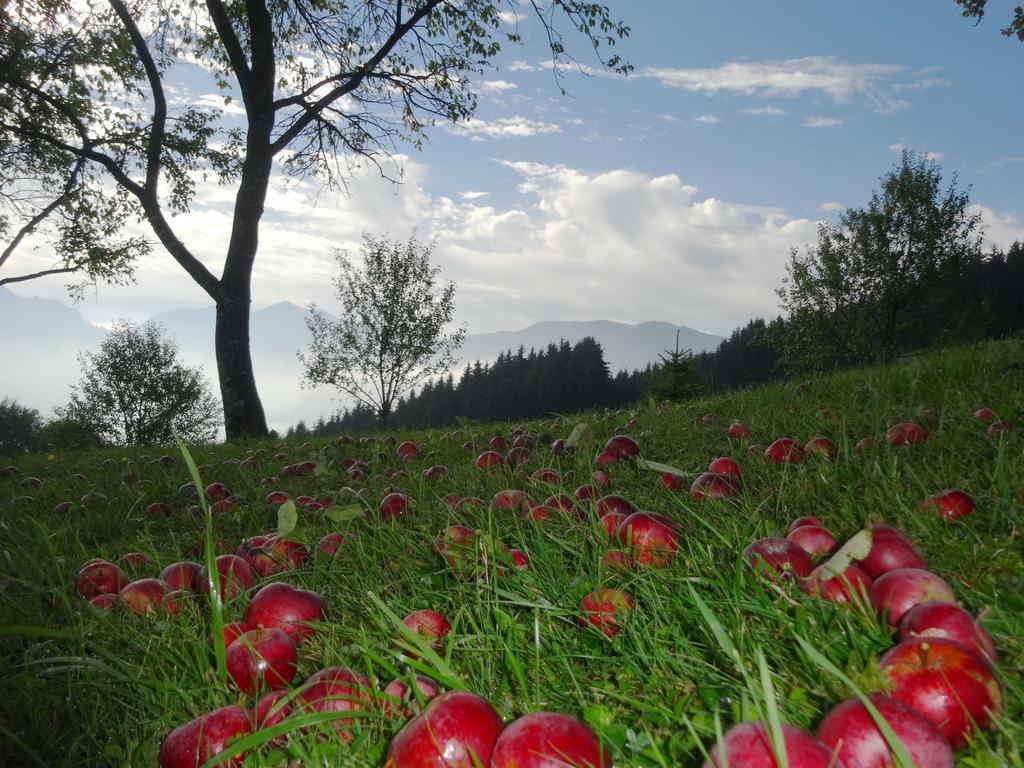 Ferienhof Margarethengut Unterach am Attersee Ngoại thất bức ảnh