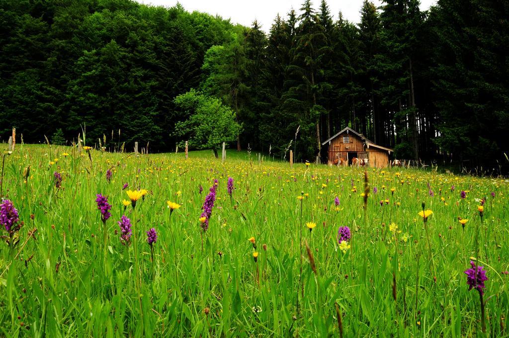 Ferienhof Margarethengut Unterach am Attersee Ngoại thất bức ảnh