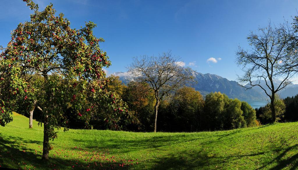 Ferienhof Margarethengut Unterach am Attersee Ngoại thất bức ảnh